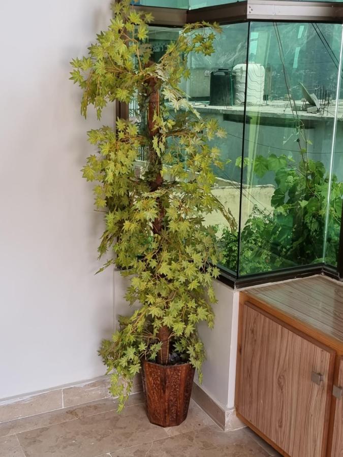 מוזפראבאד Srinagar Homes מראה חיצוני תמונה